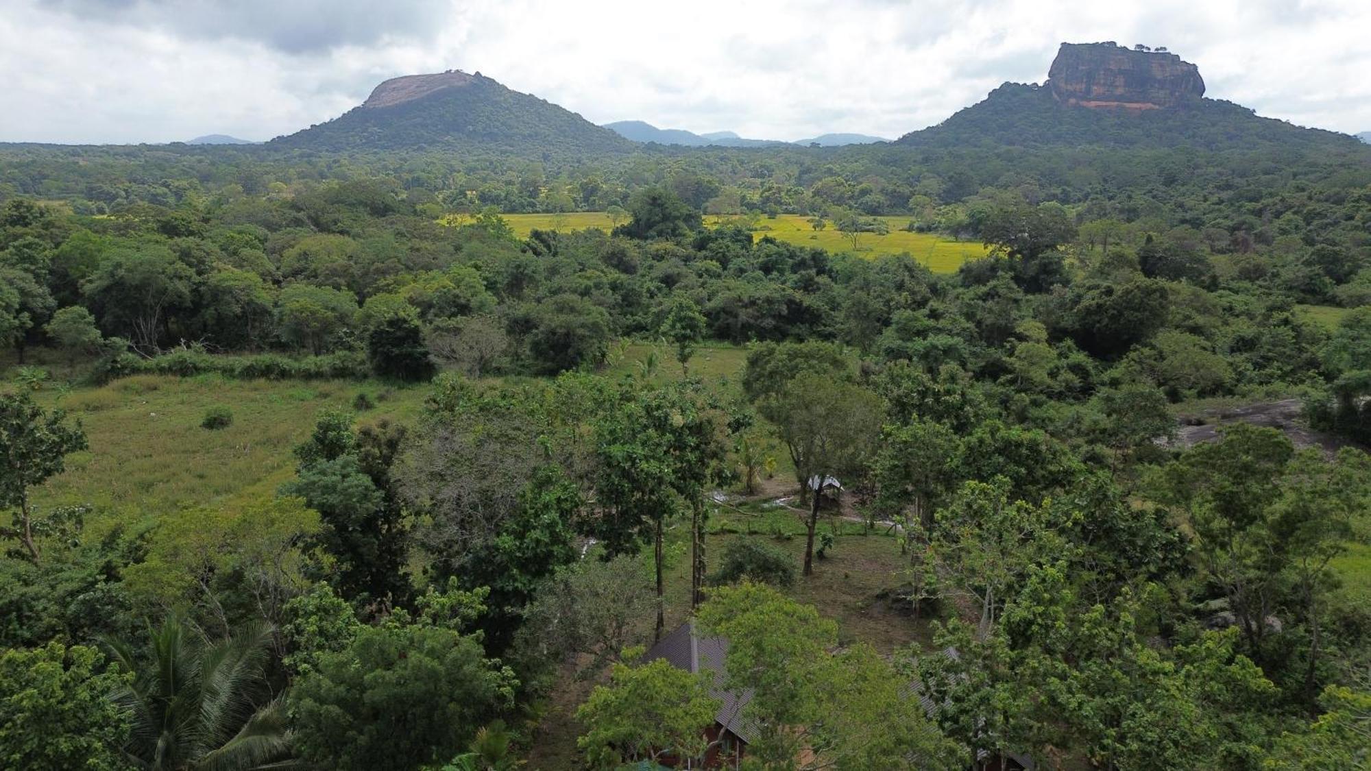 Sigiri Saat Cabana Sigiriya Exterior photo